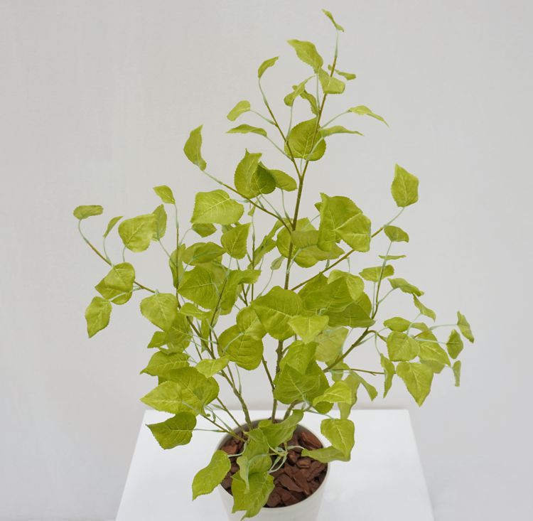 ポプラの木 苗木風 高さ80cm (フェイク グリーン インテリア 室内