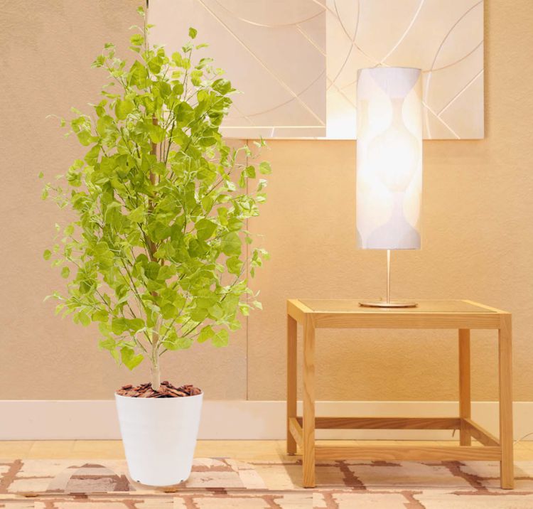 ポプラの木 高さ150cm (フェイクグリーン インテリア 室内 鉢植え