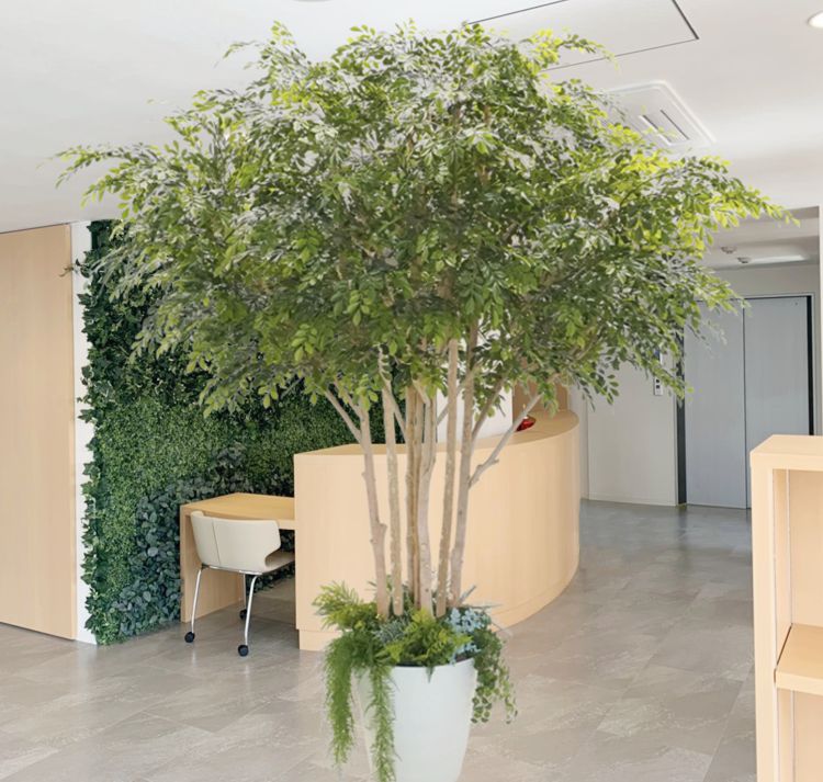 人工観葉植物 大きな木の形状 フィカスツリー 240cm (グリーン 人工樹木 人工観葉植物 造花