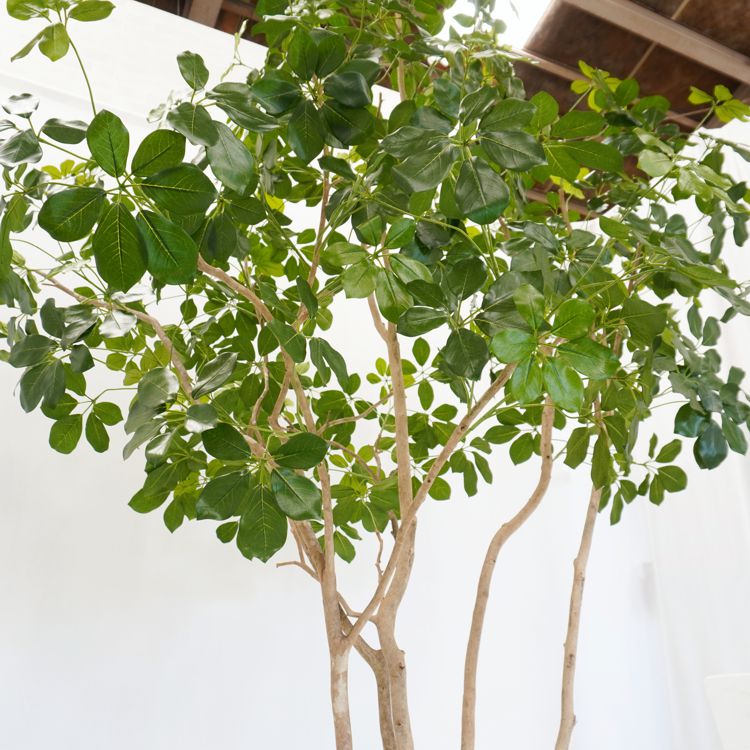 シェフレラ 240cm (フェイクグリーン 造花 インテリア 人工 観葉植物