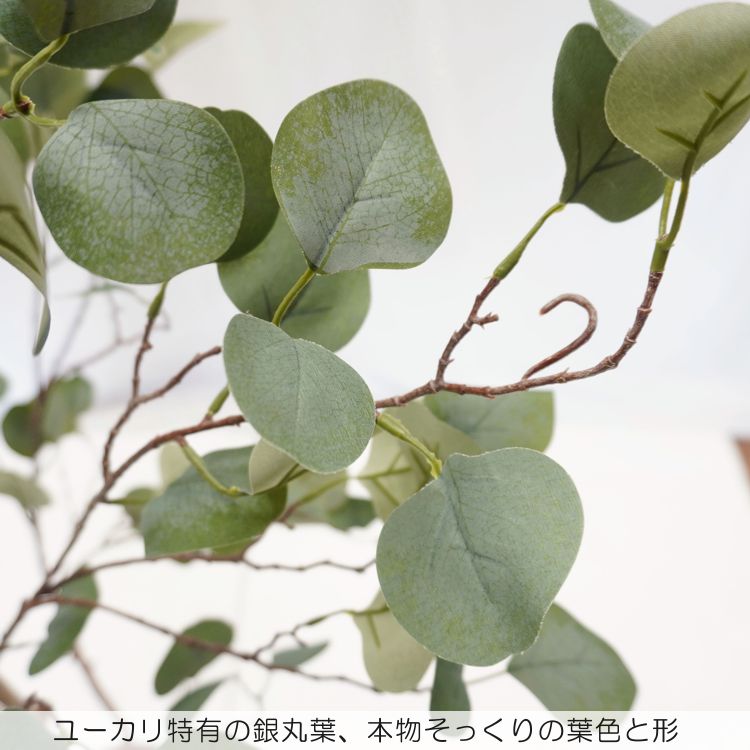 光触媒　人工観葉植物　ウォールグリーン　フェイクグリーン　ユーカリポポラス20 ユーカリ ポポラス 150cm (フェイク グリーン 造花 ハートリーフ