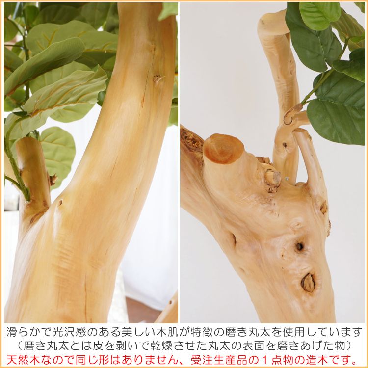 大型 ウンベラータの木 高さ220cm (フェイクグリーン 造花
