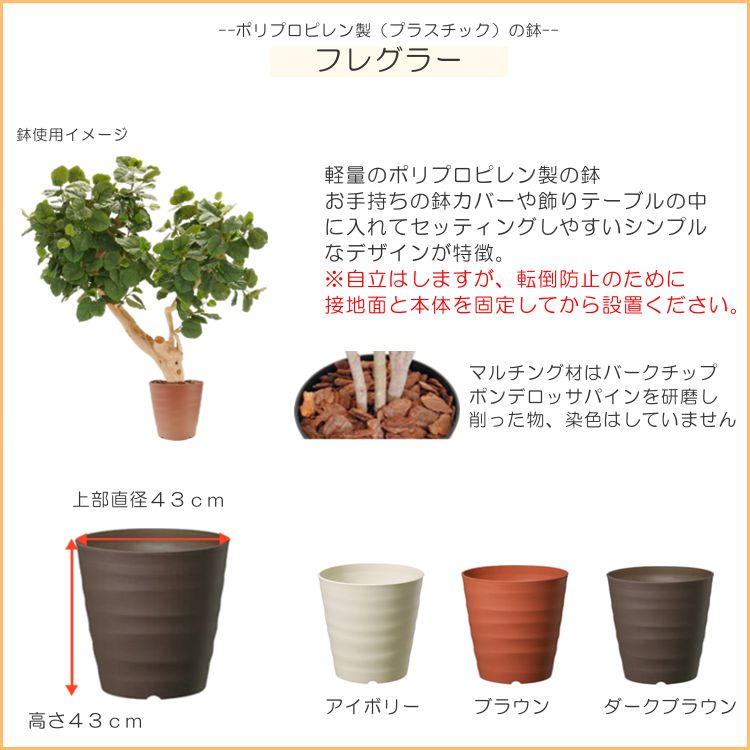 ウンベラータ　観葉植物　高さ2m 大型 ウンベラータの木 高さ220cm (フェイクグリーン 造花