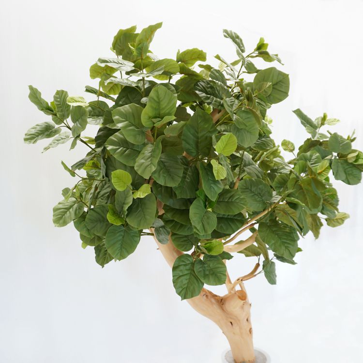 大型 ウンベラータの木 高さ220cm (フェイクグリーン 造花