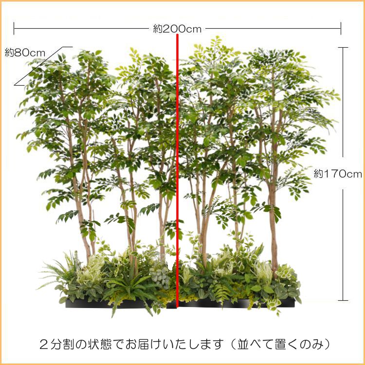 トネリコとマウンテンアッシュ 2分割 パーテーション 180cm 下草植栽