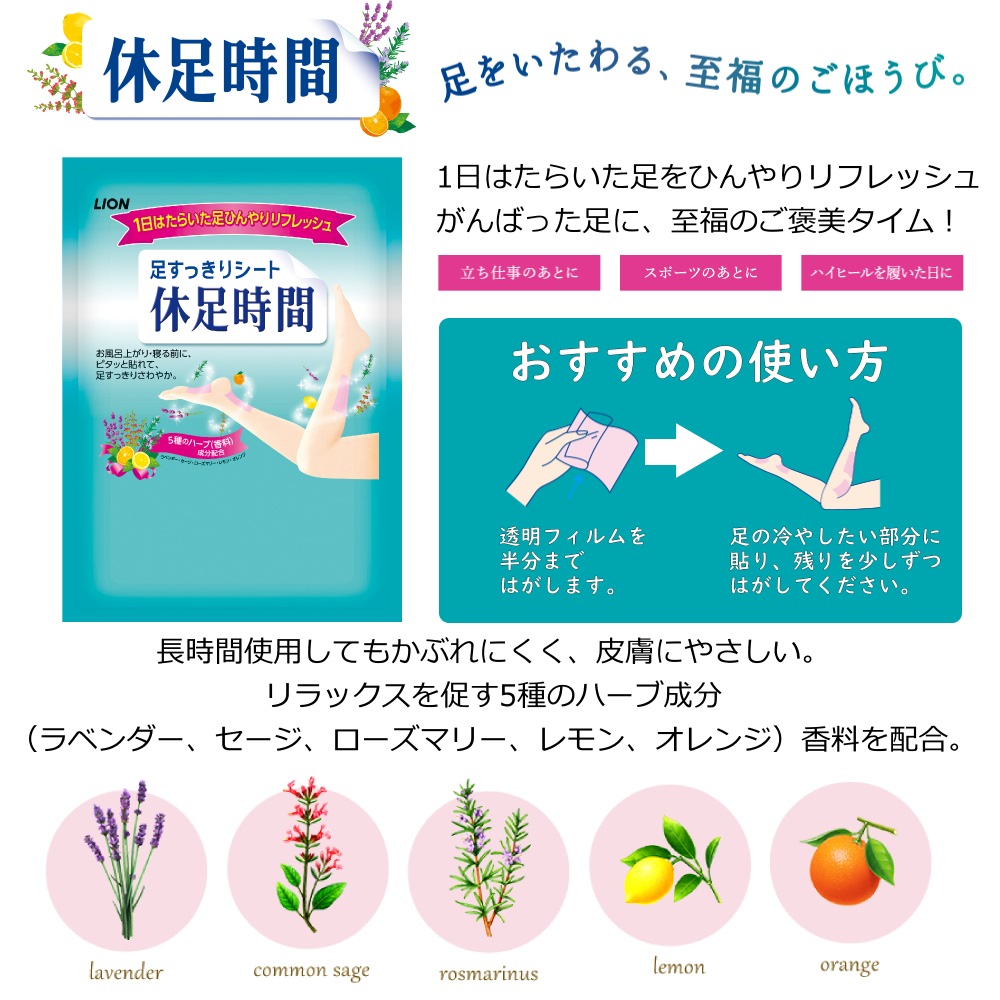 説明