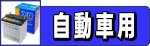 自動車サイズ