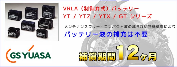 VRLA制御弁式バッテリー