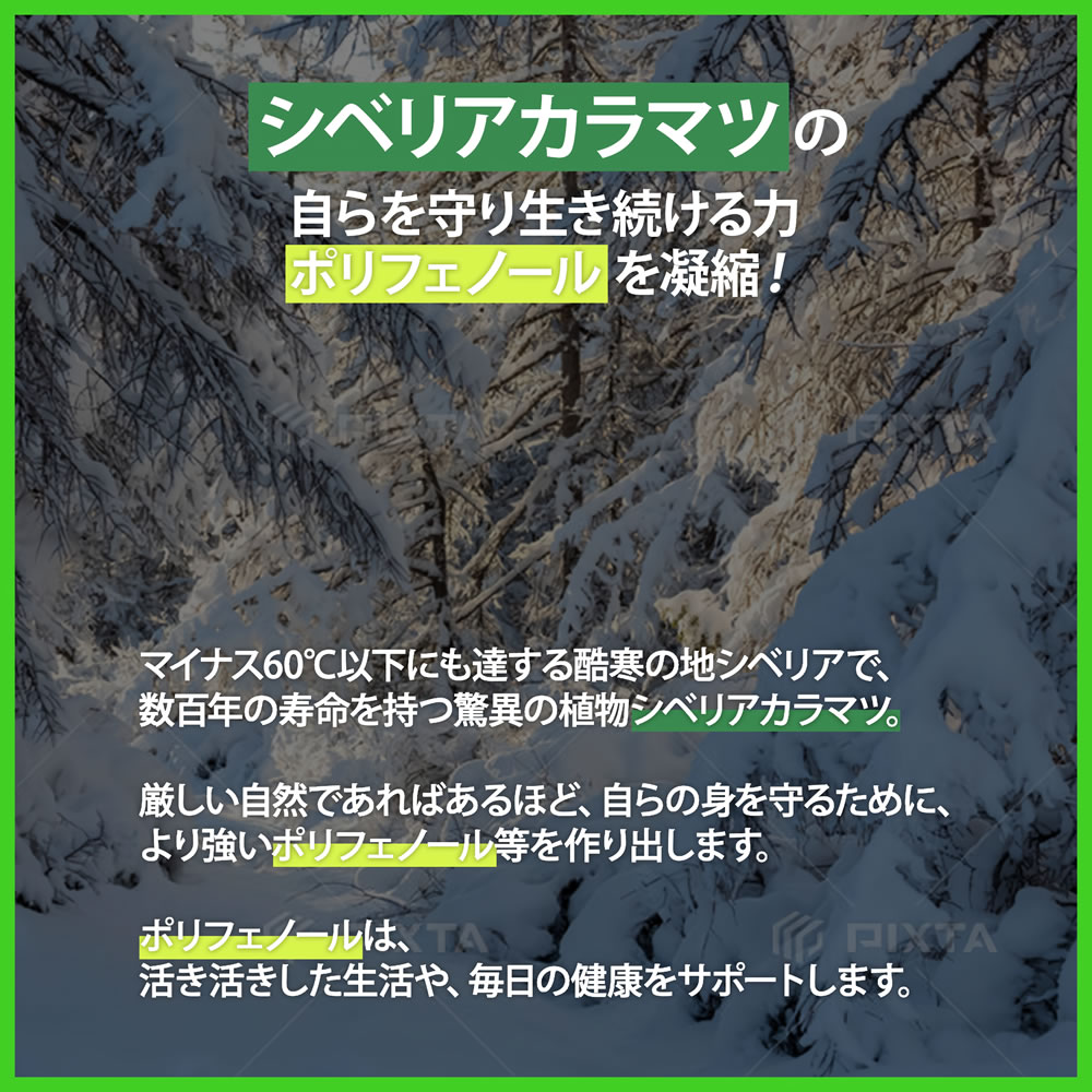 ポリフェノール