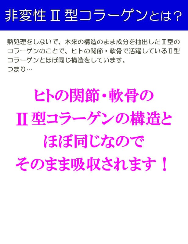 22％OFFクーポン サプリメント サプリ 2型コラーゲン 非変性2型