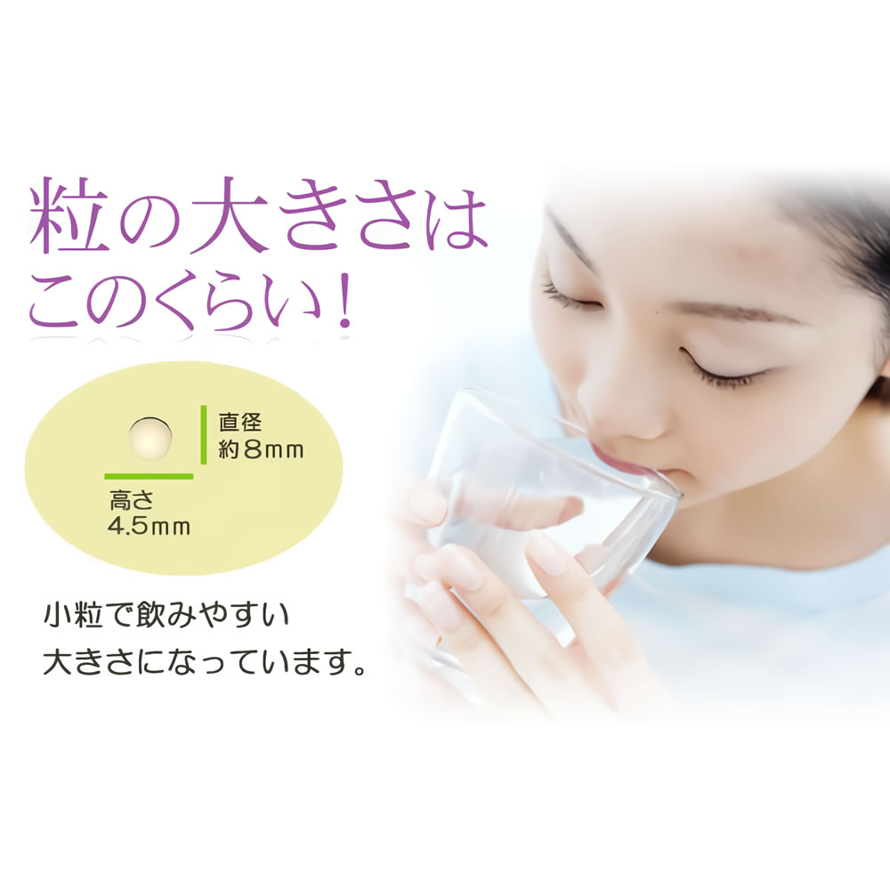 粒