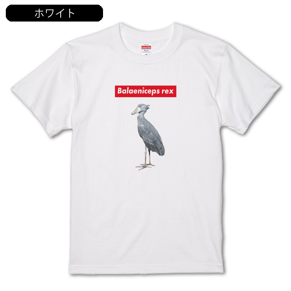 うぉんばっと様 Vombatus ursinus ウォンバットTシャツ : ジャンブルベース