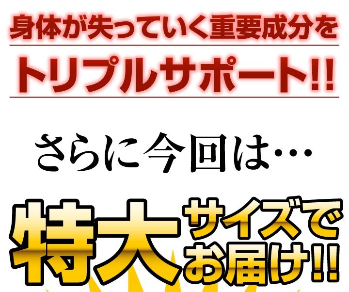 大容量半年分グルコサミン12