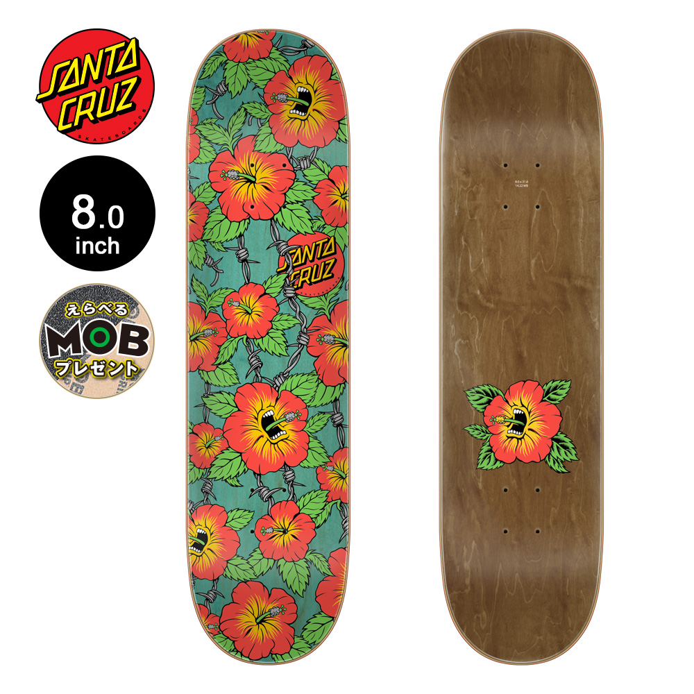 SANTA CRUZ クラシックデッキ 8.0インチ SANTA CRUZ サンタクルーズ 8.0インチ スケボー デッキ Santa