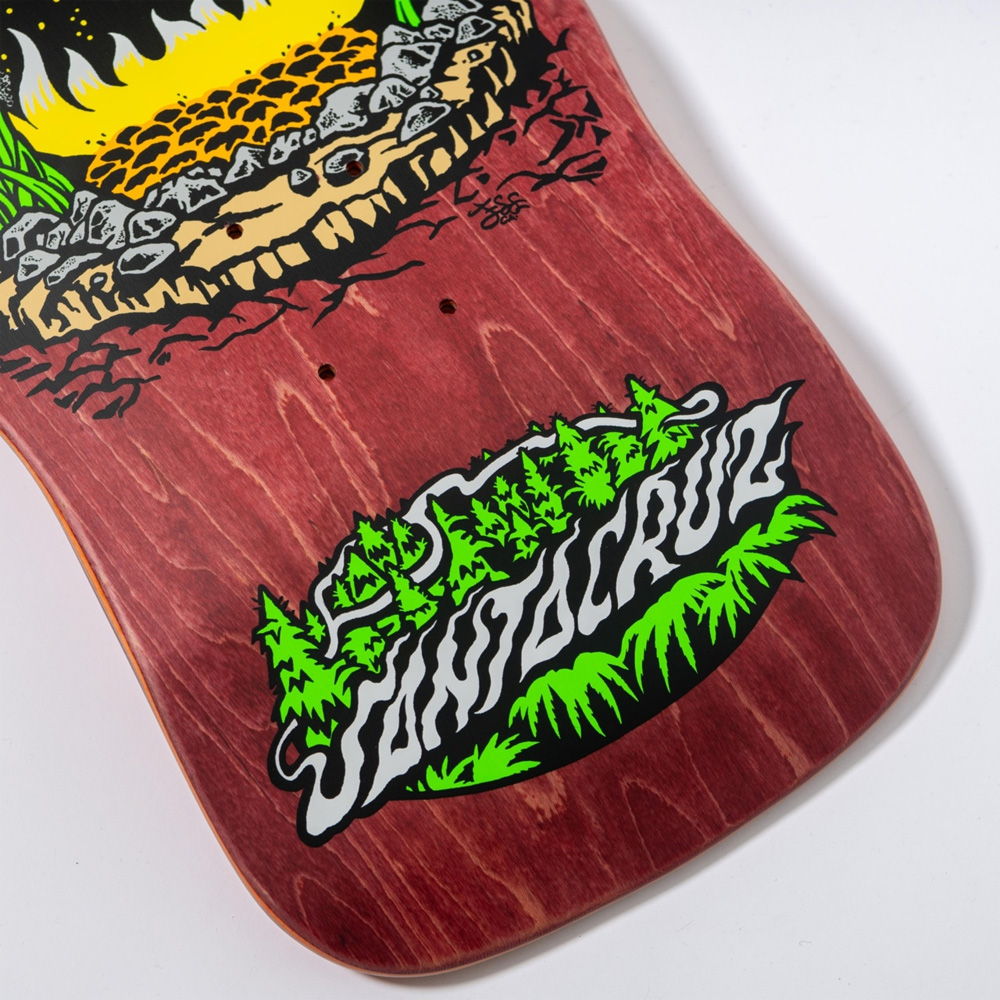 SANTA CRUZ サンタクルーズ スケボー デッキ 10.35 WINKOWSKI