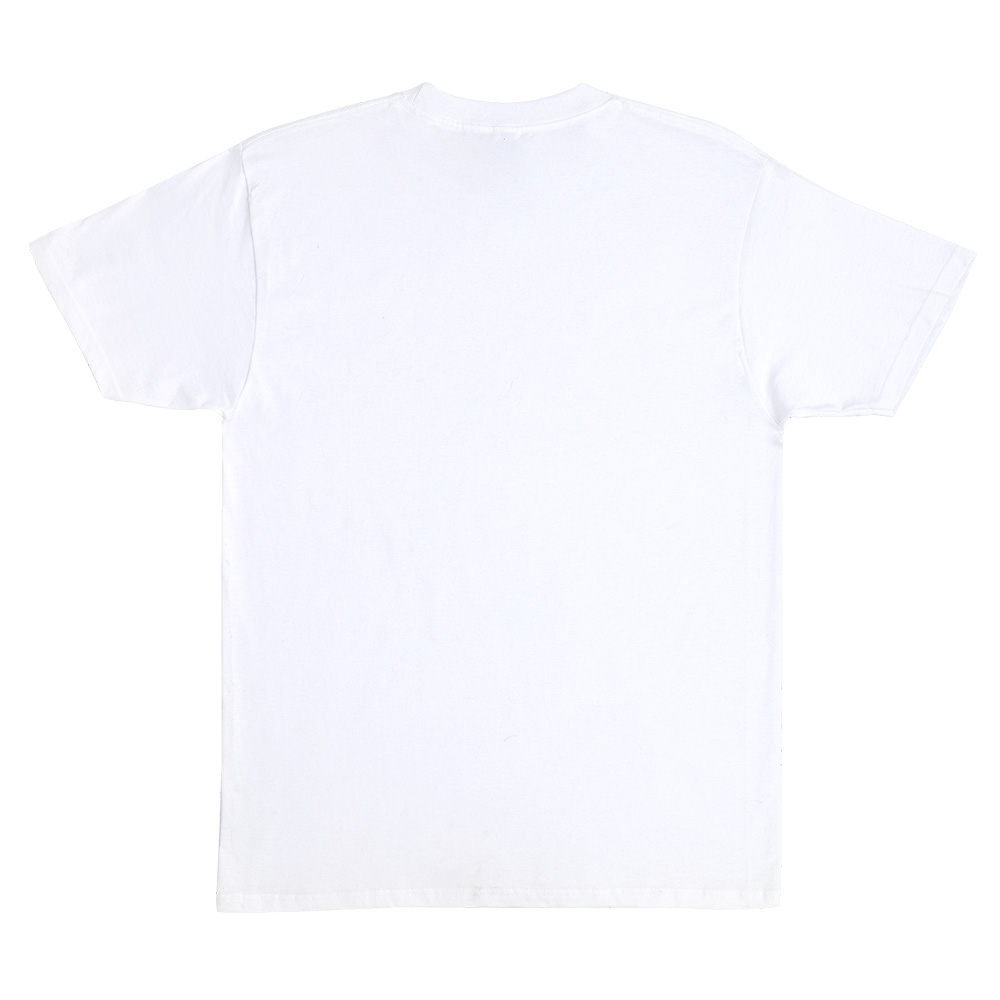 SANTA CRUZ サンタクルーズ WATER VIEW S/S REGULAR T-SHIRT Tシャツ TEE 半袖 ファッション スケボー (24SS)｜americanstreetstyle｜02