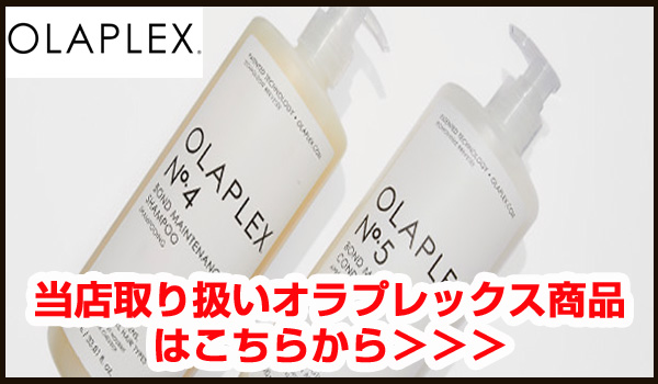 Olaplex オラプレックス ヘアケアセット Traveling Stylist Kit No.1