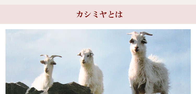 cashmere-02.jpg