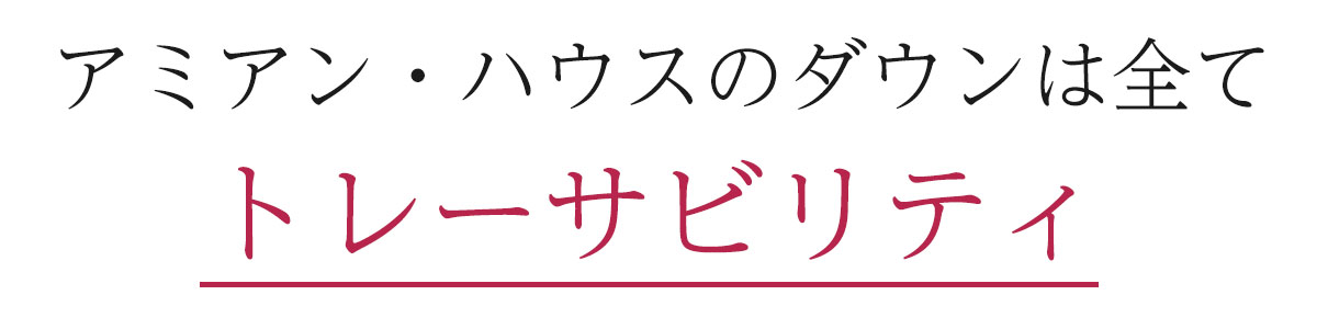 トレーサブルダウン