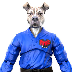 PISTON ピットブル - 青道着