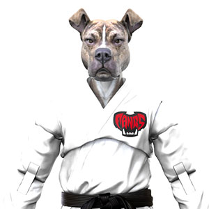 PISTON ピットブル - 白道着