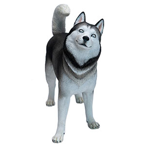 ハスキー犬