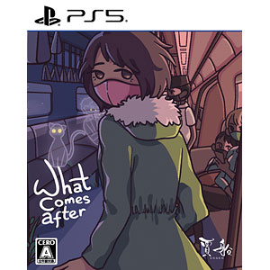 PS5 What comes after