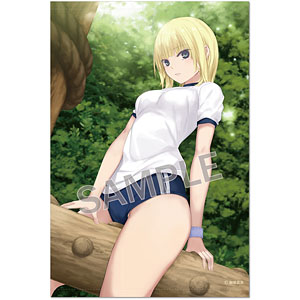 珈琲貴族 B2タペストリー アスレチック メレさん