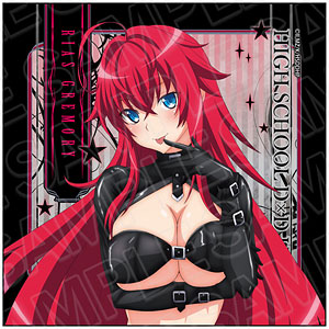 TVアニメ『ハイスクールD×D HERO』 マイクロファイバー リアス・グレモリー ボンテージ ver.