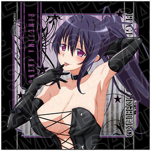 TVアニメ『ハイスクールD×D HERO』 マイクロファイバー 姫島朱乃 ボンテージ ver.