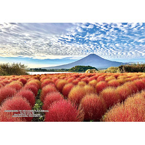 ジグソーパズル シリーズ・日本の都市112 山梨県南都留郡「河口湖大石公園から見える富士山」 300ピース (300-468)