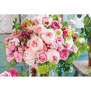 ジグソーパズル 祝福のプリマローザ 300ピース (300-192)