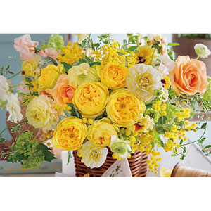 ジグソーパズル 幸運のビバーチェ 1000ピース (1000-157)