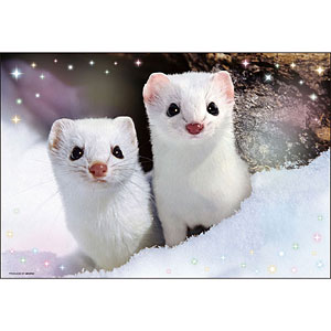 ジグソーパズル ひょっこりエゾオコジョ 300ピース (300-188)