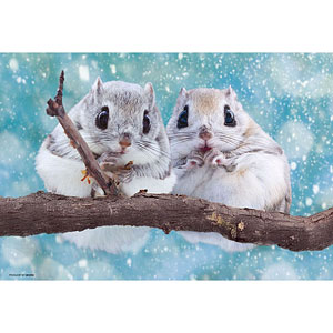 ジグソーパズル もちふわエゾモモンガ 300ピース (300-189)