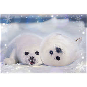 ジグソーパズル アザラシの幼稚園 300ピース (300-190)