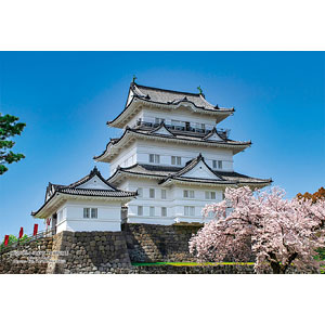 ジグソーパズル シリーズ・日本の都市74 神奈川県小田原市「小田原城」 300ピース (300-928)