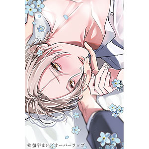 CD ドラマCD「高嶺の花には欲がある」Blooming Loveセット
