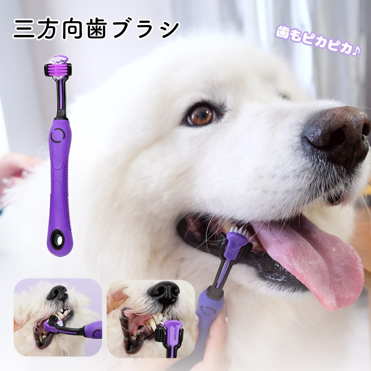 ペット用 グルーミング&ケア 9点セット ペットブラシ 犬 猫 ケア用品