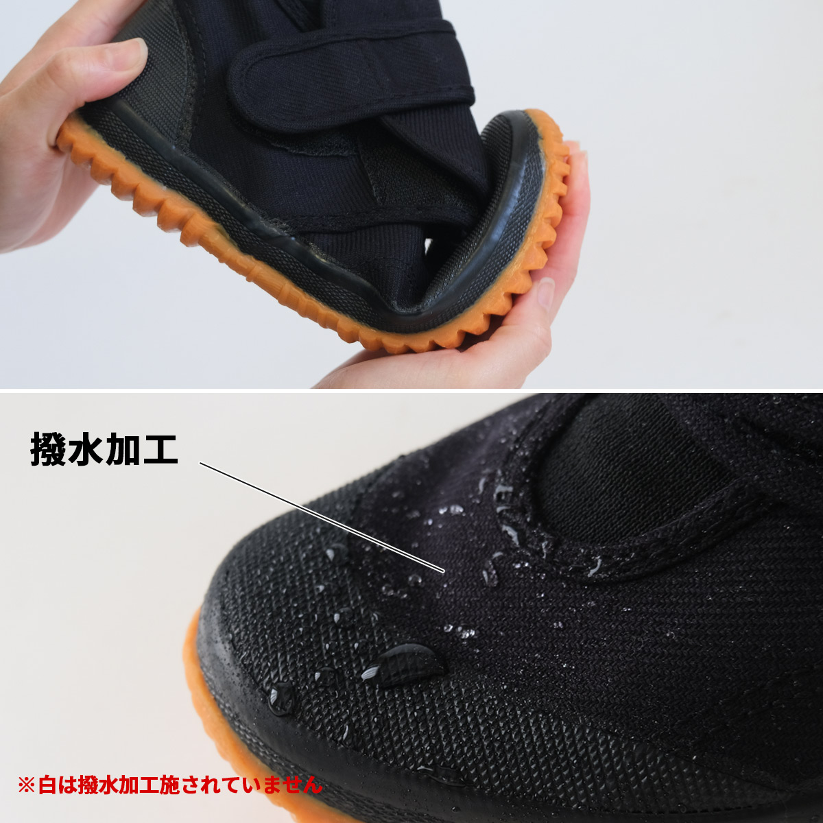 fg-torasan6_09.jpg
