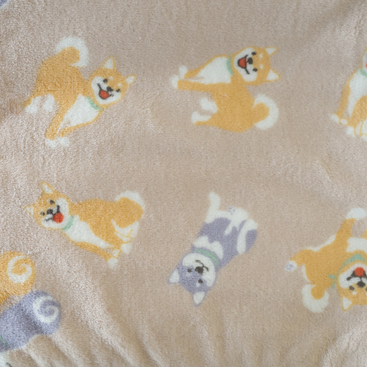 あったかひざ掛け ブランケット アウトドア おしゃれ amiami アミアミ