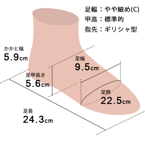 足の形イメージ