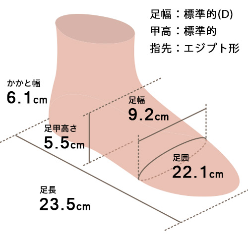 足の形イメージ