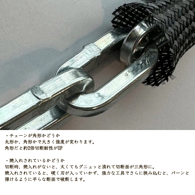 IVERA CHAIN 6210/110 チェーンロック ABUS/アブス | ABUS | 07