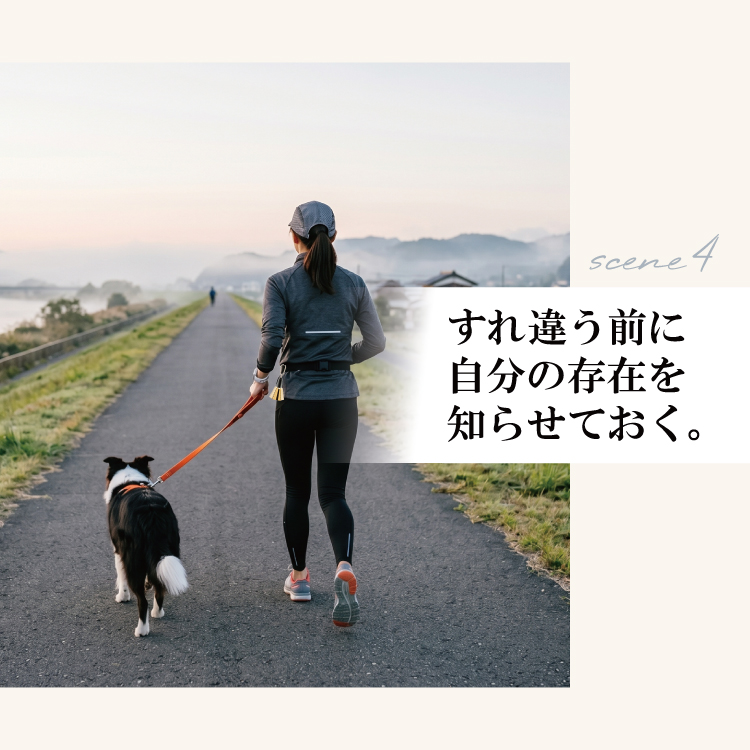 カラバリ