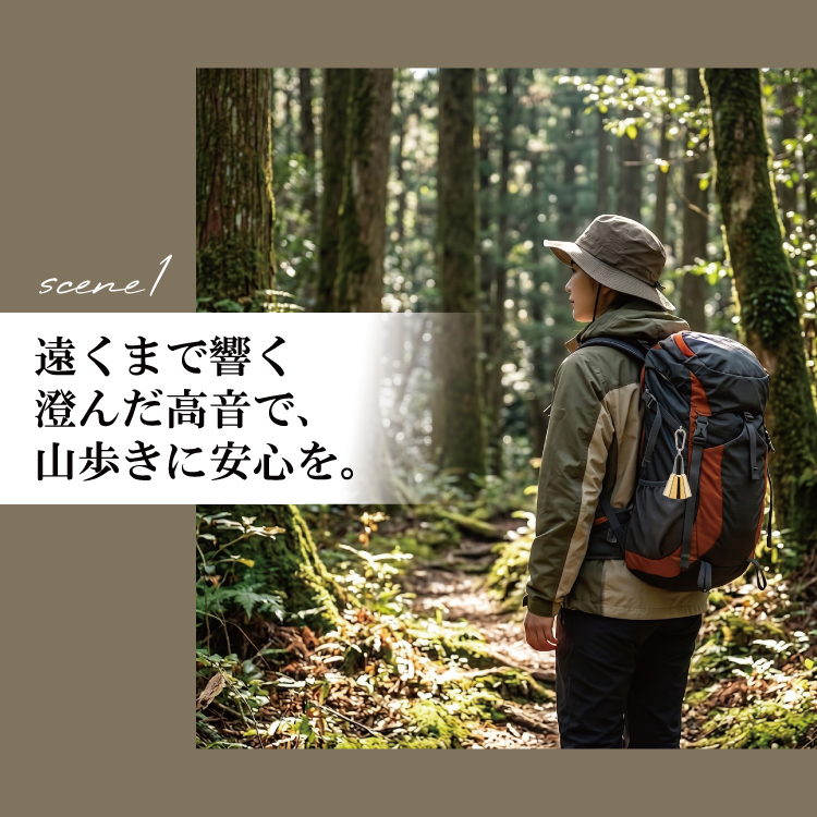 カラバリ