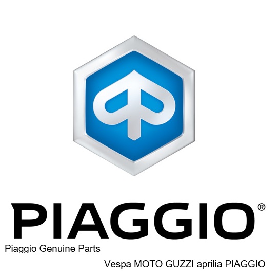 FRONT WHEEL RIM PIAGGIO VESPA GTS 125 '1 1C003941000GY