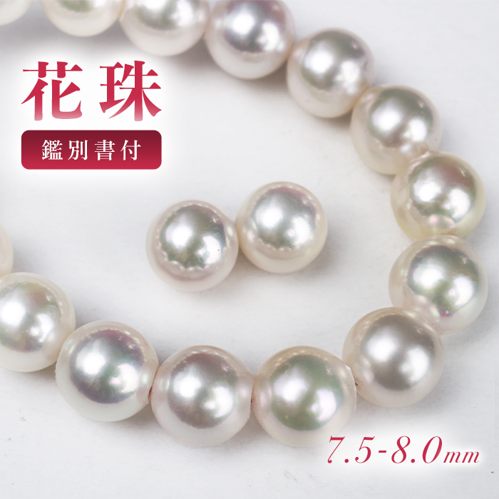 バーゲンセール◇照り巻き花珠級冠婚葬祭等に！あこやパール８㍉珠ＵＰ　ＷＧピアス 楽天市場】オーロラ花珠真珠 ピアス 8.5-9.0mm K18YG パール