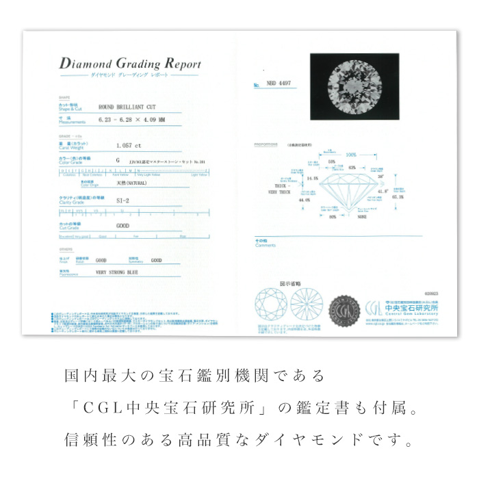 ダイヤ 1.0ct 1本限定 ダイヤモンドネックレス Gカラー プラチナ pt