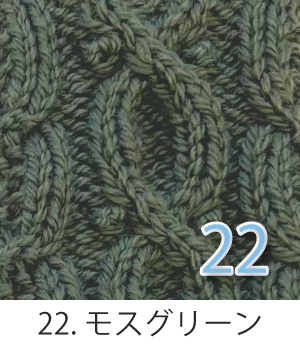 編み物キット ケーブル模様のハンドウォーマー(ウルグアイウール並太２玉) あみもねっと |  | 22